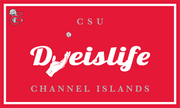 Collegiate Dyeislife Flags