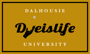 Collegiate Dyeislife Flags